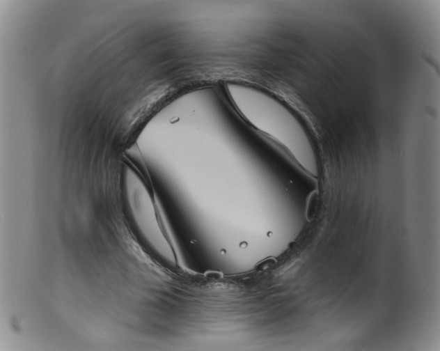 X0000099480585200805161137