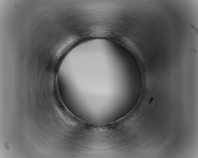 X0000099480586200805161137