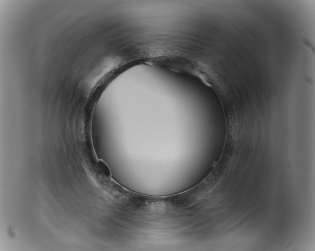 X0000099480587200805161137