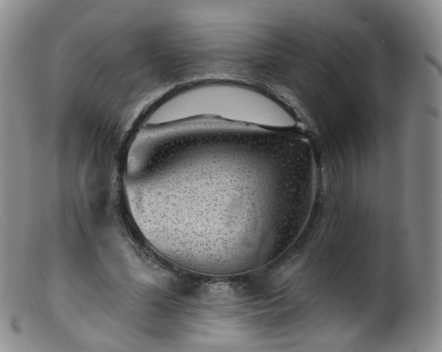 X0000099480588200805161137