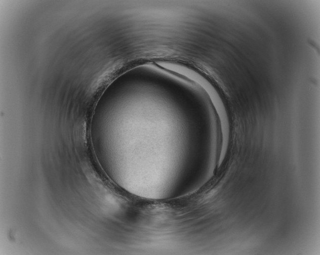 X0000099480589200805161137