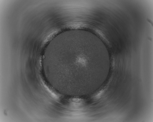 X0000099480590200805161137