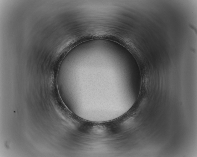 X0000099480591200805161137