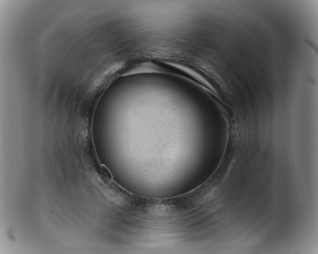 X0000099480593200805161137