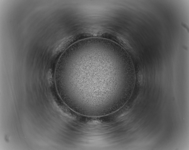 X0000099480594200805161137