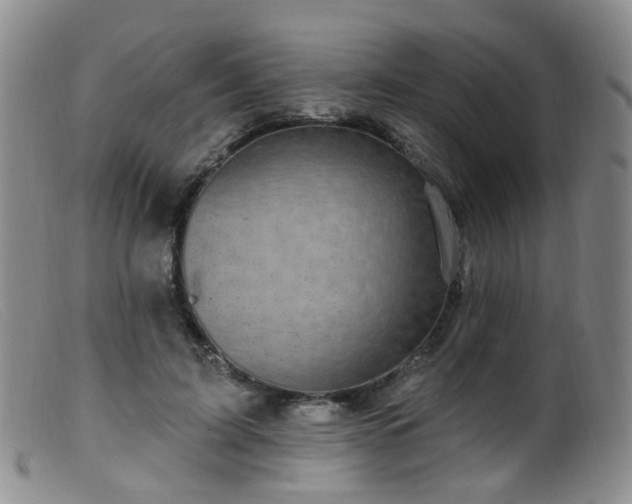 X0000099480595200805161137