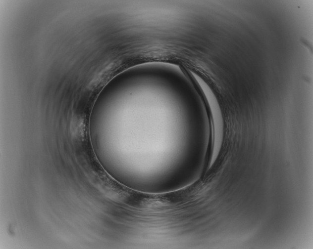 X0000099480597200805161137
