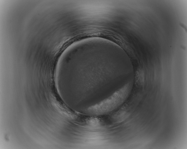 X0000099480600200805161137