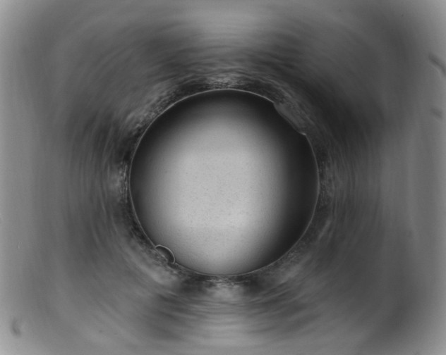 X0000099480601200805161137