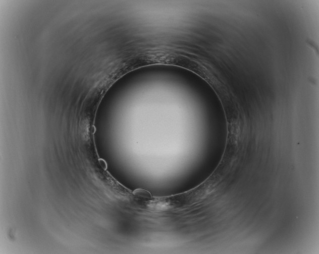 X0000099480602200805161137