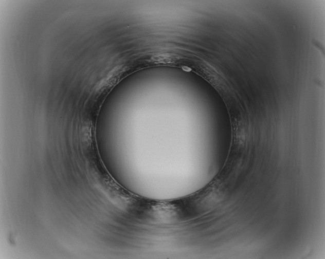 X0000099480603200805161137