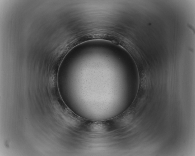 X0000099480604200805161137
