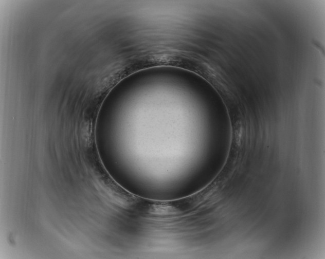 X0000099480605200805161137