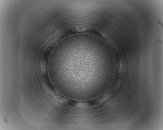 X0000099480606200805161137