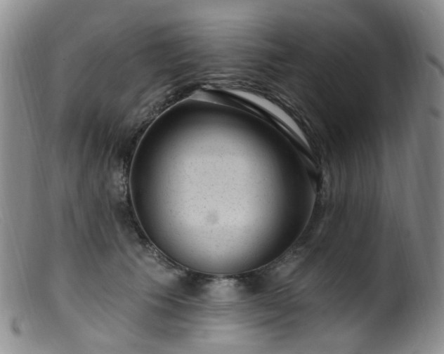 X0000099480609200805161136