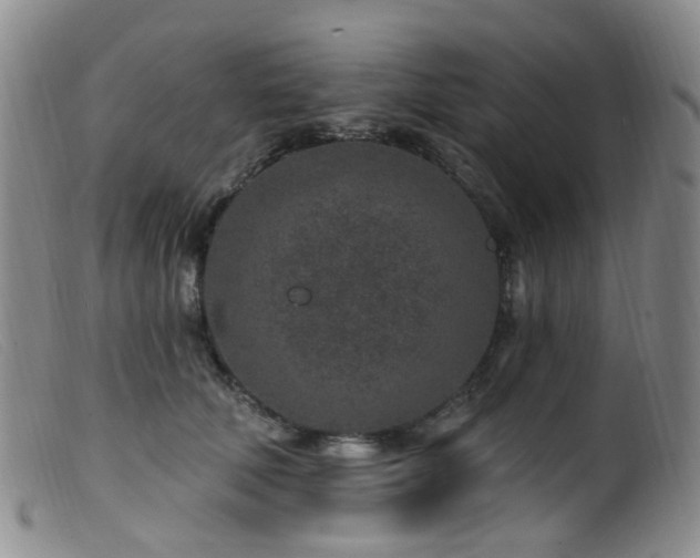 X0000099480610200805161136