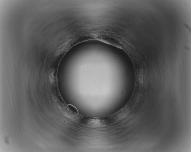 X0000099480611200805161136