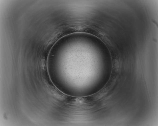 X0000099480612200805161136