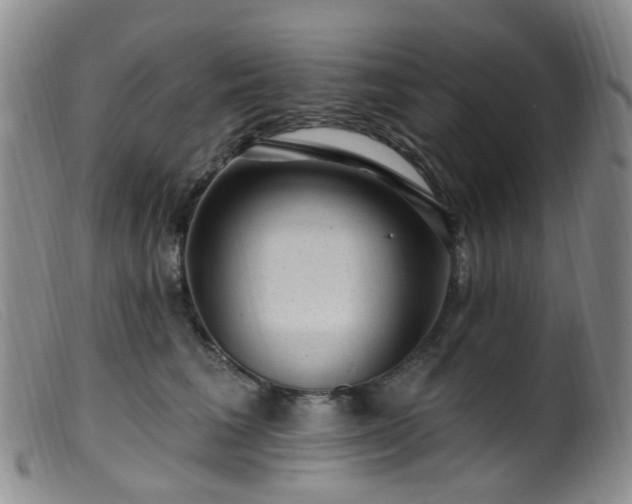 X0000099480613200805161136