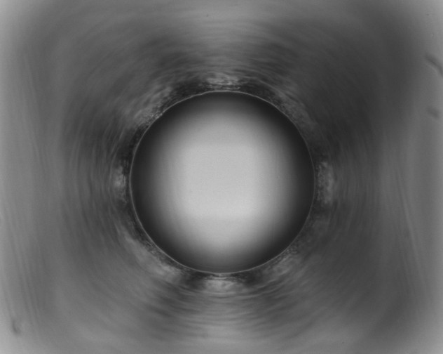 X0000099480614200805161136