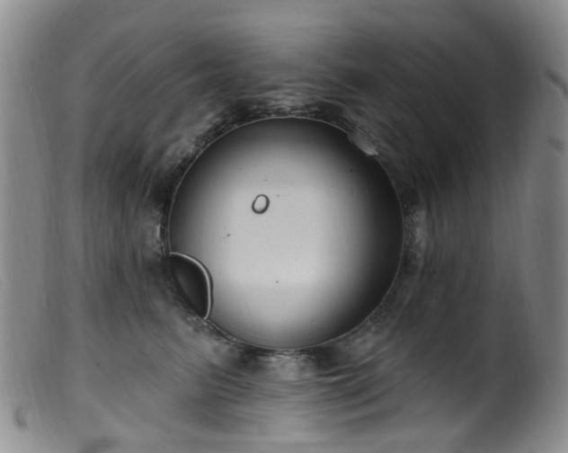 X0000099480615200805161136