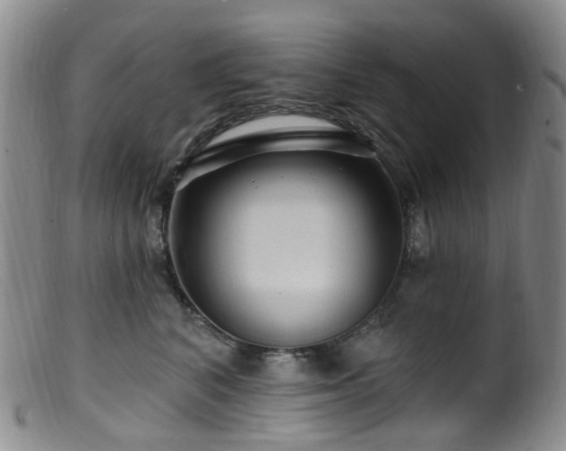 X0000099480616200805161136