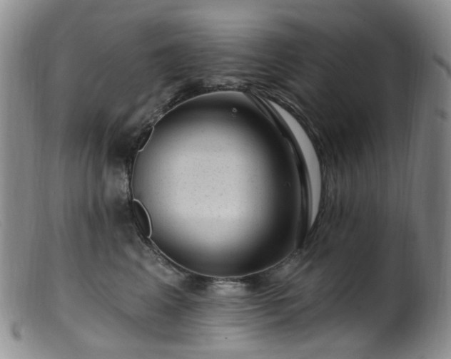 X0000099480617200805161136