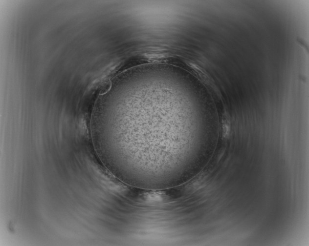 X0000099480618200805161136