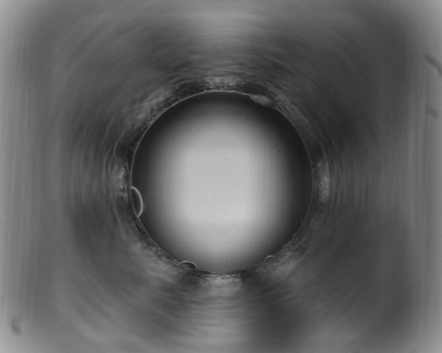 X0000099480619200805161136