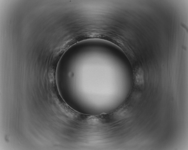 X0000099480620200805161136
