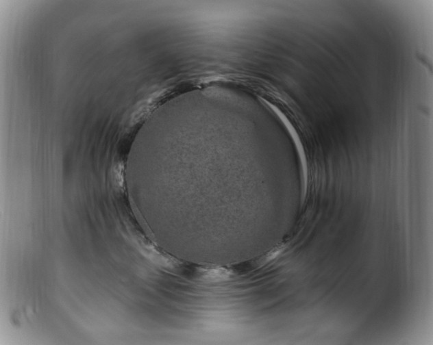 X0000099480621200805161136