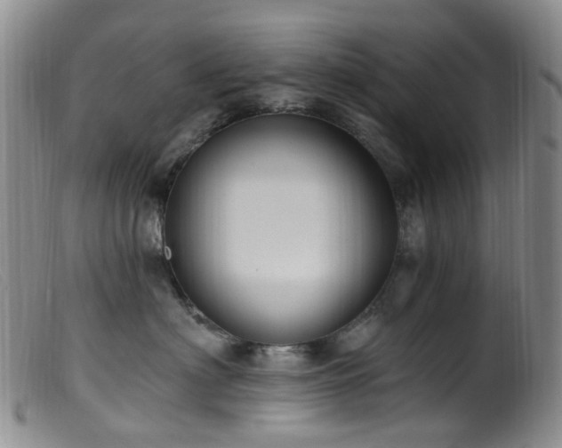 X0000099480622200805161136