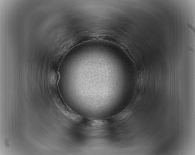 X0000099480623200805161136