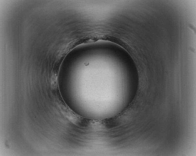 X0000099480624200805161136