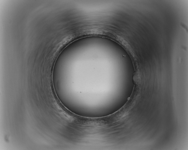X0000099480625200805161136