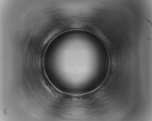 X0000099480626200805161136