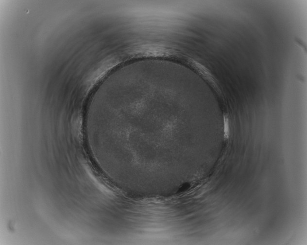 X0000099480627200805161136