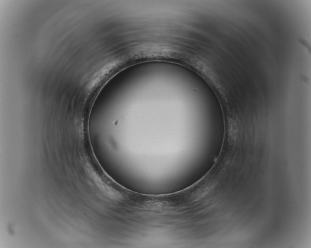 X0000099480629200805161136