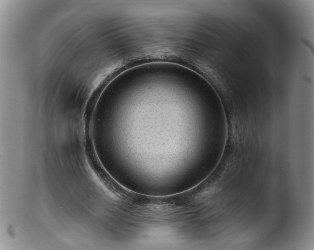 X0000099480630200805161136