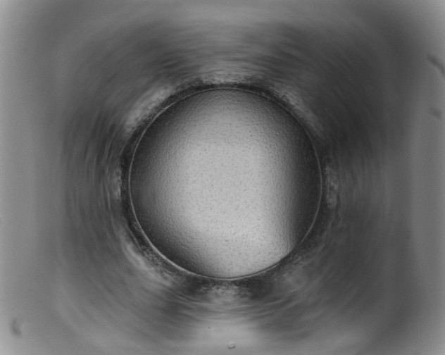 X0000099480631200805161136