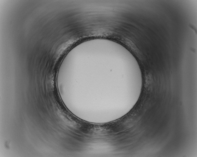 X0000099480632200805161136