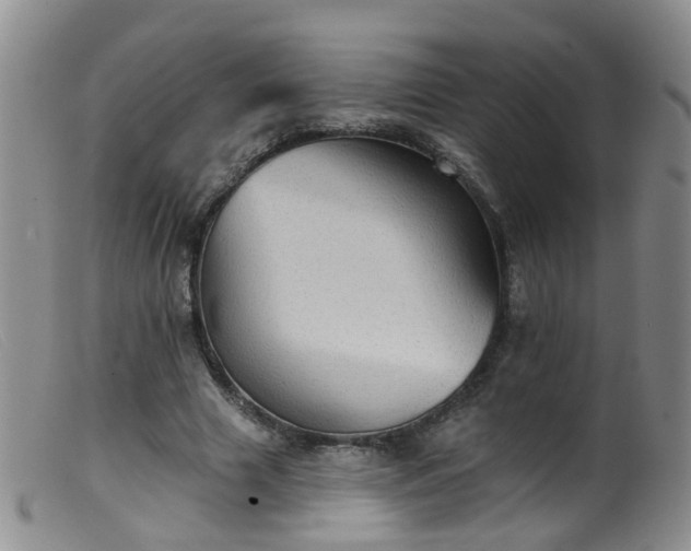 X0000099480633200805161136