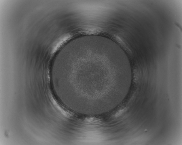 X0000099480634200805161136