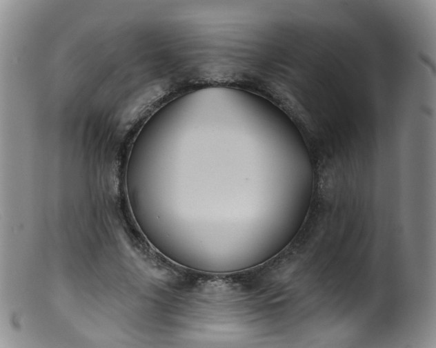 X0000099480635200805161136