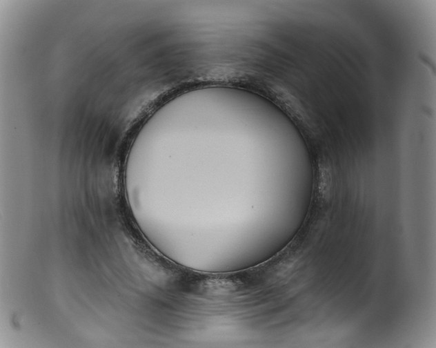 X0000099480636200805161136