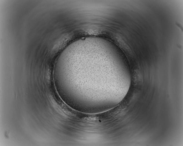 X0000099480639200805161136