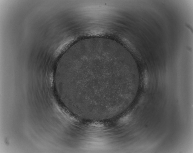 X0000099480640200805161136