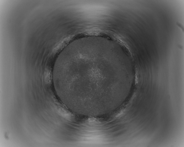 X0000099480641200805161136
