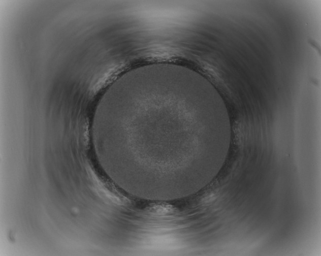 X0000099480642200805161136