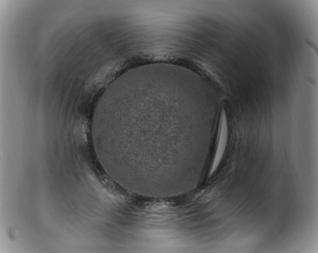 X0000099480643200805161136
